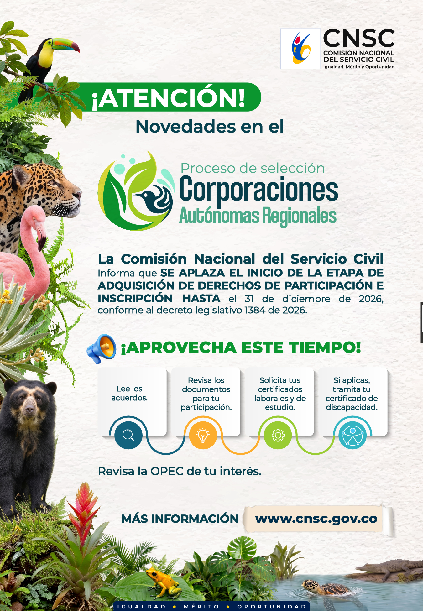 imagen boletines
